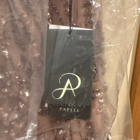 Adrianna Papell Sequin Embellished Maxi Dress in Tan - Picture 4 of 5